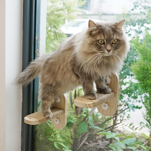 PETKARAY Katzen-Fensterregal, Original Katzenfenster-Sitzstange Hängematte, langlebiger Katzensitz für Fensterbank, stabile Fenstertreppe für große Katzen von PETKARAY