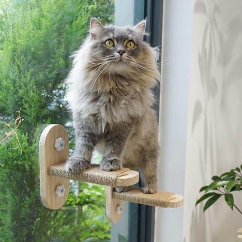 PETKARAY Katzenfensterregal, Original Katzenfensterstange Treppe, langlebiger Kitty Sitz für Fensterbank, Stabile Fensterstufe für Indoor-Katzen von PETKARAY
