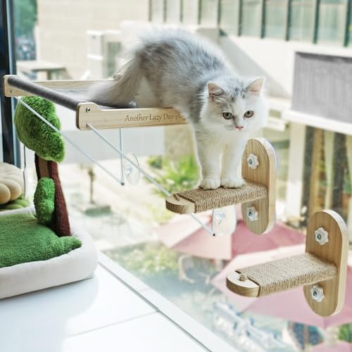 PETKARAY Katzenfenstersitzstange, Faltbare Katzenhängematte für Fenster, stabile Fensterregale für Indoor-Katzen, Set enthält 2 Stück Fenstertreppe von PETKARAY