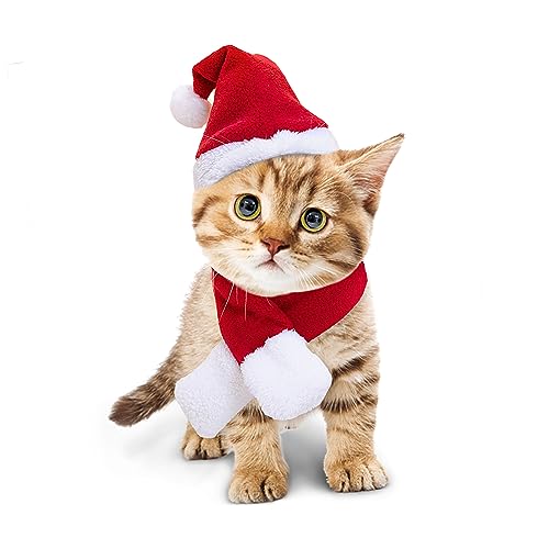 PETLESO Haustier Weihnachtskostüm Haustier Nikolausmütze Katze Nikolausmütze mit Schal Haustier Weihnachtskostüm für Welpen Katze Weihnachtsfeier Rot S von PETLESO