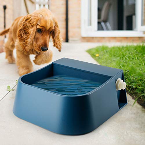 PETLESO Automatischer Hundewasserspender, Automatischer Hund Wassernapf für Katzen Hunde Vögel Ziegen Outdoor Kleintiere, Blau 2L von PETLESO