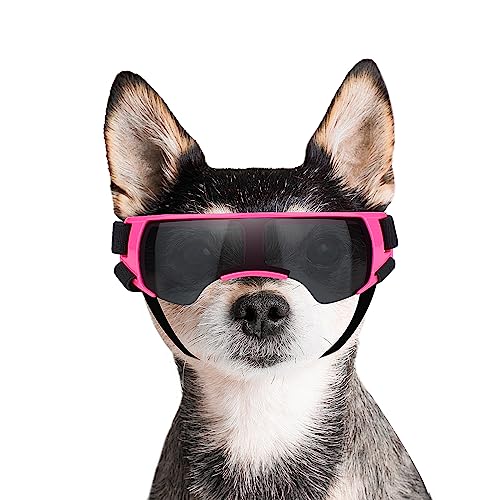 PETLESO Brille für Kleine Hunde Augenschutz Brille Windschutzbrille für Kleine Hunde UV Schutz Hunde Sonnenbrillen für Motorrad/Hundefahrradkorb/Cabrio PETLESO Brille für Kleine Hunde Augenschutz Brille Windschutzbrille für Kleine Hunde UV Schutz Hunde Sonnenbrillen für Motorrad/Hundefahrradkorb/Cabrio von PETLESO