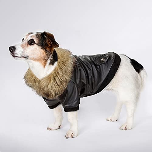 PETLESO Hundebekleidung Winter Hundemantel Warm Fleece Hundejacke Aufknöpfen Leder Winterjacke für Klein/Mittel Hunde - M von PETLESO
