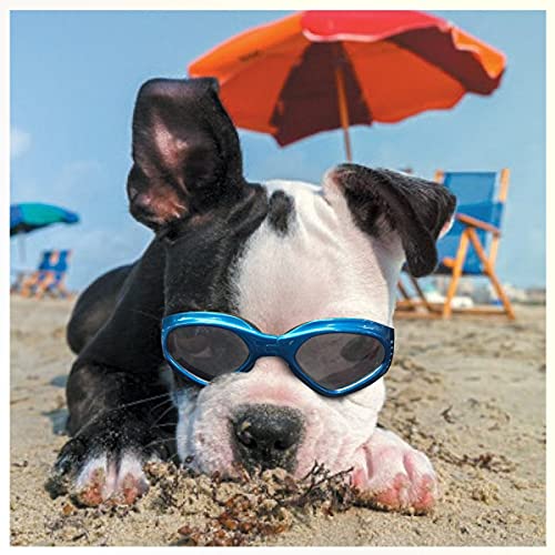 PETLESO Hundebrille Stilvolle Haustier Sonnenbrille Anti-Beschlag Wasserdicht Winddicht Augenschutz Anti-UV Schutzbrille für Kleine/Mittelgroße Hunde, Blau von PETLESO