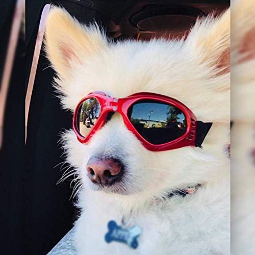 PETLESO Hundebrille Stilvolle Haustier Sonnenbrille Anti-Beschlag Wasserdicht Winddicht Augenschutz Anti-UV Schutzbrille für Kleine/Mittelgroße Hunde, Rot von PETLESO