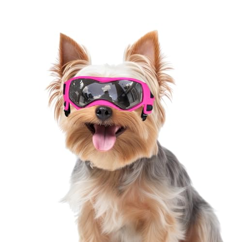 PETLESO Hundebrille für kleine Rassen, Hundesonnenbrille für kleine Rassen, Sonnenlichtschutz, UV-Schutz, Brille für Hunde mit verstellbaren Trägern, Größe S, Rosa PETLESO Hundebrille für kleine Rassen, Hundesonnenbrille für kleine Rassen, Sonnenlichtschutz, UV-Schutz, Brille für Hunde mit verstellbaren Trägern, Größe S, Rosa von PETLESO