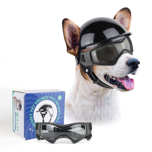 PETLESO Hundebrille mit Helm, Hundehelm und -Brille 2 Stück Set für kleine und mittlere Hunde - Schwarz PETLESO Hundebrille mit Helm, Hundehelm und -Brille 2 Stück Set für kleine und mittlere Hunde - Schwarz von PETLESO