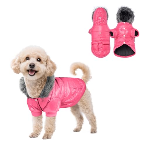 PETLESO Hundemantel für Kleine Hunde, Winterjacken & Wintermäntel für Kleine Hunde, Outdoor Warm Haustier Wintermantel, Rosa, M von PETLESO
