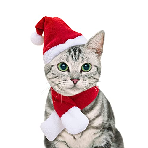 PETLESO Katze Weihnachtsmütze und Weihnachten Roter Schal Weihnachtskostüm für Katzen Katzenkostüm Weihnachten Weihnachtsoutfit für Katzen/Kleine Hunde PETLESO Katze Weihnachtsmütze und Weihnachten Roter Schal Weihnachtskostüm für Katzen Katzenkostüm Weihnachten Weihnachtsoutfit für Katzen/Kleine Hunde von PETLESO