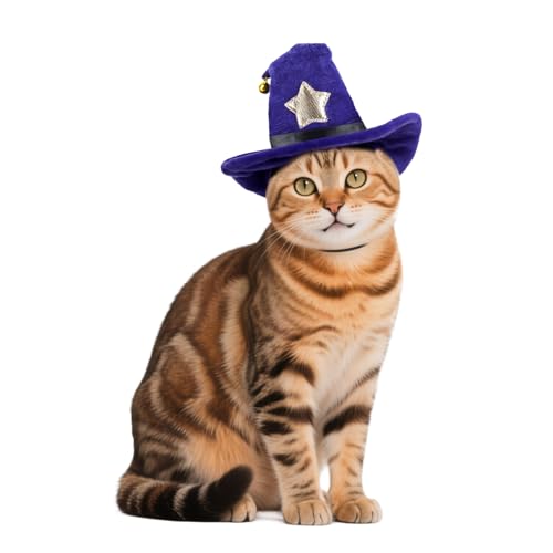 PETLESO Katze Zauberer Hut Haustier Halloween Kostüme Hexe Cosplay Outfit mit Glocke für kleine Hunde, Katzen & Kaninchen, verstellbar, Lila PETLESO Katze Zauberer Hut Haustier Halloween Kostüme Hexe Cosplay Outfit mit Glocke für kleine Hunde, Katzen & Kaninchen, verstellbar, Lila von PETLESO
