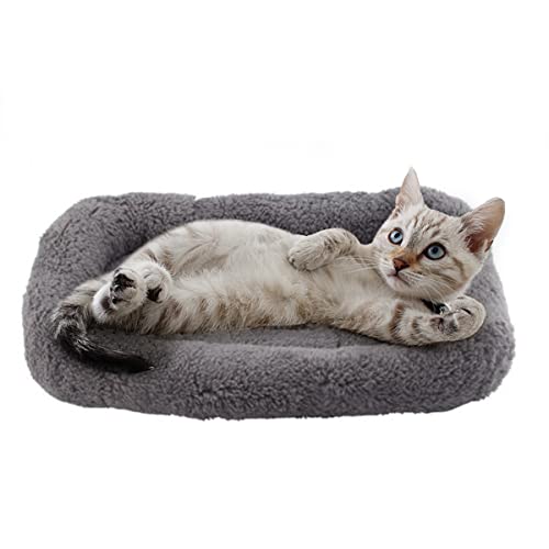 PETLESO Kleines Katzenbett, Plüsch-Katzenkissen, kleine Katzenbetten für Indoor-Katzen, flauschige Katzenmatte für kleine Katzen, Curl-Schlaf für Kistenträger, klein 38,1 x 25,4 cm von PETLESO