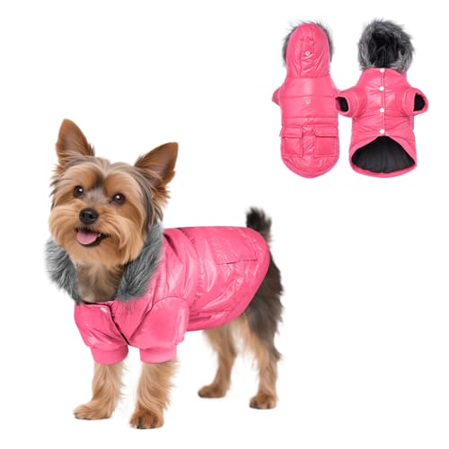 PETLESO Wintermantel für kleine Hunde, warme Jacke für kaltes Wetter, winddicht, wasserdicht, mit Loch für die Leine für kleine Welpen, Rosa, Größe L PETLESO Wintermantel für kleine Hunde, warme Jacke für kaltes Wetter, winddicht, wasserdicht, mit Loch für die Leine für kleine Welpen, Rosa, Größe L von PETLESO