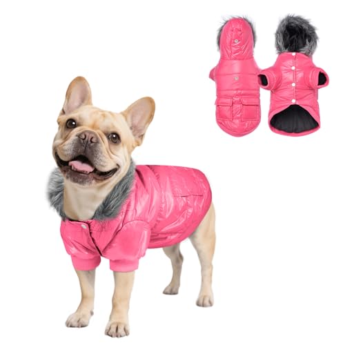 PETLESO Wintermantel für kleine Hunde, warme Jacke für kaltes Wetter, winddicht, wasserdicht, mit Loch für die Leine für kleine Welpen, Rosa, Größe XXL PETLESO Wintermantel für kleine Hunde, warme Jacke für kaltes Wetter, winddicht, wasserdicht, mit Loch für die Leine für kleine Welpen, Rosa, Größe XXL von PETLESO