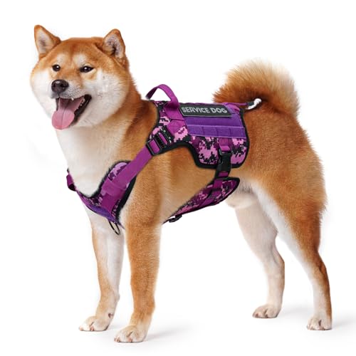 PETNANNY Tactical Dog Harness – Service Dog Harness Emotional Support Dog Vest for Medium Large Dogs, No Pull ESA Dog Vest with Hook & Loop, Working Molle Vest for Training Hunting (Purple Camo, M) von PETNANNY