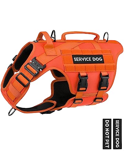 PETNANNY Taktisches Hundegeschirr – Service-Hundeweste für große Rassen, Klettverschluss für Servicehunde, Arbeitshund, MOLLE-Weste mit Griff für Spazierengehen, Wandern, Training (Orange, Größe L) PETNANNY Taktisches Hundegeschirr – Service-Hundeweste für große Rassen, Klettverschluss für Servicehunde, Arbeitshund, MOLLE-Weste mit Griff für Spazierengehen, Wandern, Training (Orange, Größe L) von PETNANNY