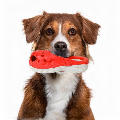 PETOPIA Hundespielzeug für aggressive Kauer, Kauspielzeug für große Hunde, langlebiges Hundespielzeug für große Hunde, Futterspender für Hunde, weicher Gummischuh für Hunde (Clogschuhe, PETOPIA Hundespielzeug für aggressive Kauer, Kauspielzeug für große Hunde, langlebiges Hundespielzeug für große Hunde, Futterspender für Hunde, weicher Gummischuh für Hunde (Clogschuhe, von PETOPIA