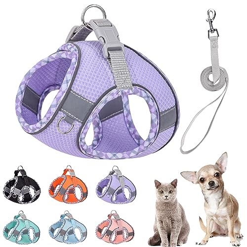 PETPUBGNZS Hundegeschirr und Leine, süßes Karomuster, kein Ziehen, weiches Netz, für kleine Hunde, einfaches Hineinsteigen, Welpen, Weste, Haustiere, Katzen, Chihuahua, Yorkie, Shih Tzu, Violett, PETPUBGNZS Hundegeschirr und Leine, süßes Karomuster, kein Ziehen, weiches Netz, für kleine Hunde, einfaches Hineinsteigen, Welpen, Weste, Haustiere, Katzen, Chihuahua, Yorkie, Shih Tzu, Violett, von PETPUBGNZS