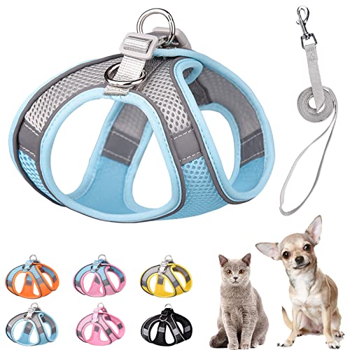 PETPUBGNZS Weiches kleines Hundegeschirr und Leine, Set, Step-in-Air-Mesh, Welpengeschirr, Leine, einfaches Spazierengehen, Hundegeschirr, Weste, verstellbar, reflektierend, kein Ziehen, grau, XS) von PETPUBGNZS