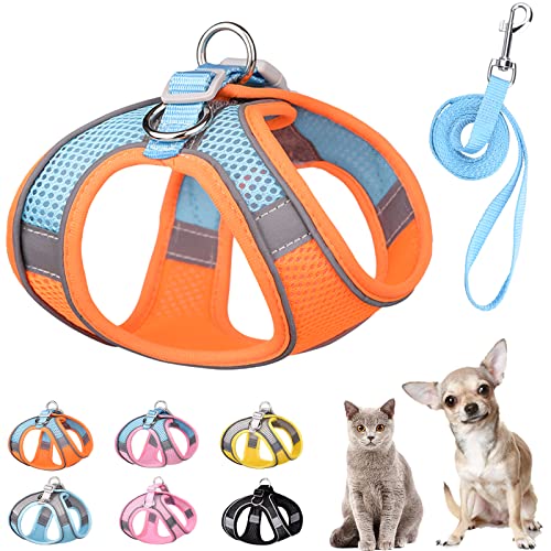 PETPUBGNZS Weiches Hundegeschirr und Leine, luftdurchlässiges Netzgewebe, Welpengeschirr, leicht zu laufen, verstellbar, reflektierend, kein Ziehen, Hundegeschirr für kleine Hunde und Katzen, Orange / PETPUBGNZS Weiches Hundegeschirr und Leine, luftdurchlässiges Netzgewebe, Welpengeschirr, leicht zu laufen, verstellbar, reflektierend, kein Ziehen, Hundegeschirr für kleine Hunde und Katzen, Orange / von PETPUBGNZS