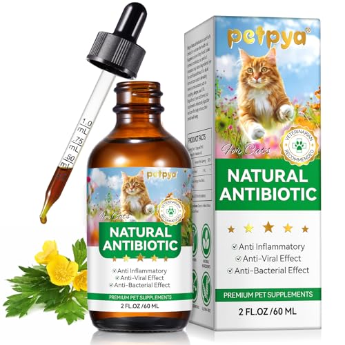 Antibiotics for Cats - Pet Supplements Supports Immune, Allergy Relief, Multivitamin, Health Supplies Cats UTI Antibiotics, Chicken Flavour - 2 FL Oz / 60ml von PETPYA