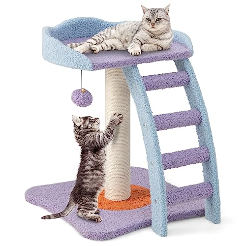 PETSITE Kleiner süßer Katzenbaum, 48,3 cm, moderner Katzenturm für Indoor-Katzen mit Sitzstange, Kratzbaum, Leiter, Blau Lila PETSITE Kleiner süßer Katzenbaum, 48,3 cm, moderner Katzenturm für Indoor-Katzen mit Sitzstange, Kratzbaum, Leiter, Blau Lila von PETSITE