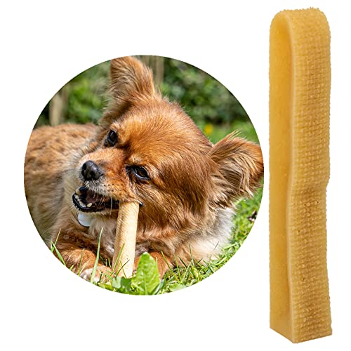 Petsoo® schmackhafter Käsekauknochen aus Hartkäse XS für kleine Hunde - Kauknochen im Churpi Style aus norddeutscher Kuhmilch Kaukäse Kaustab (5) von PETSOO