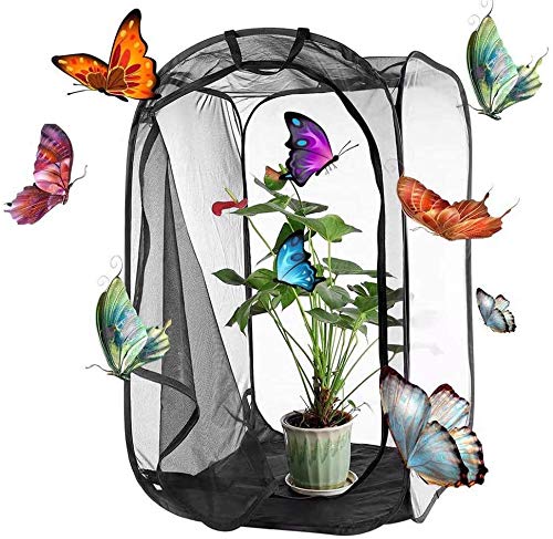 PETSOOO NFF57 Medium Portalbe Insekten-Schmetterling Lebensraum Kits Insekten Schmetterling Garten Netz Käfig Terrarium Stick Insekten Tarantel Gehege Tank Schmetterling Bauernhaus Faunarium 60 x 41 x von PETSOOO