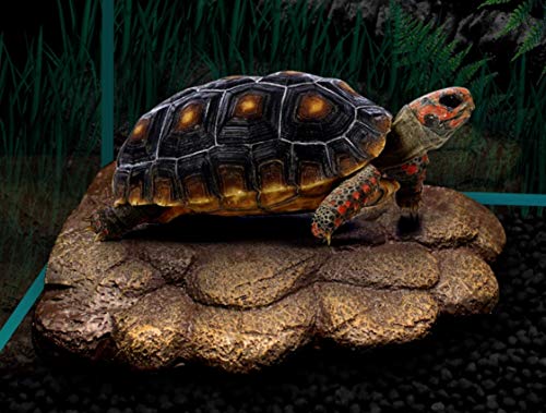 PETSOOO Schildkröte Basking Platform Floating Platform Turtle Dock Resin Turtle Magnetic Platform Unique Floating Island for Semi Aquatic Animals Resin Island Aquarium Decor (NS-78) 16 * 10.5 * 3cm von PETSOOO