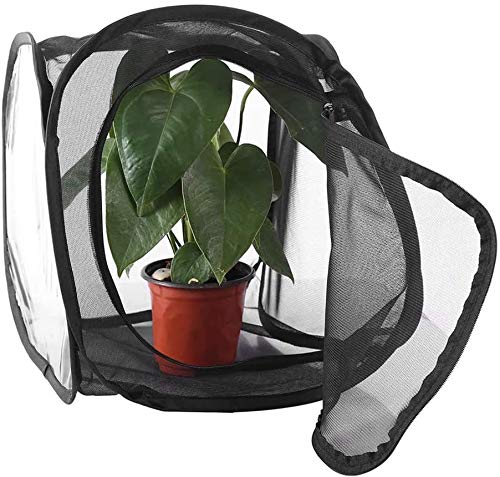 Portalbe, Insekten-, Schmetterlings-Habitat-Kits, Insekten-, Schmetterlings-Garten-Netzkäfig, Terrarium-Stab, Tarantel-Gehege, Tank, Schmetterlingsfarmen, Hausfaunarium, 30 x 30 x 30 cm, NFF-57 klein Portalbe, Insekten-, Schmetterlings-Habitat-Kits, Insekten-, Schmetterlings-Garten-Netzkäfig, Terrarium-Stab, Tarantel-Gehege, Tank, Schmetterlingsfarmen, Hausfaunarium, 30 x 30 x 30 cm, NFF-57 klein von PETSOOO