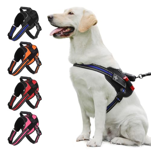 PETSOSTEP Hundegeschirr, atmungsaktiv, verstellbar, handlich und mit freier Leine. Starkes und langlebiges hochwertiges reflektierendes Oxford-Gewebe für maximale Sichtbarkeit PETSOSTEP Hundegeschirr, atmungsaktiv, verstellbar, handlich und mit freier Leine. Starkes und langlebiges hochwertiges reflektierendes Oxford-Gewebe für maximale Sichtbarkeit von PETSOSTEP