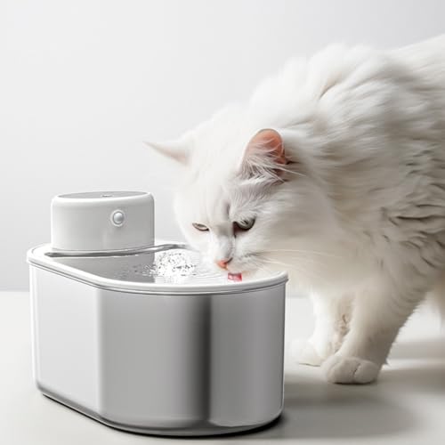 PETSTIBLE Katzenwasserbrunnen Batteriebetrieben, Kabelloser Edelstahl Katze Trinkbrunnen - 3L, Bewegungsmelder & Leise PETSTIBLE Katzenwasserbrunnen Batteriebetrieben, Kabelloser Edelstahl Katze Trinkbrunnen - 3L, Bewegungsmelder & Leise von PETSTIBLE