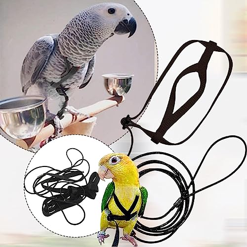 Papageiengeschirr mit verstellbarer Leine, weiches und atmungsaktives Nylon für sichere Outdoor-Abenteuer (S) von PETSTIBLE