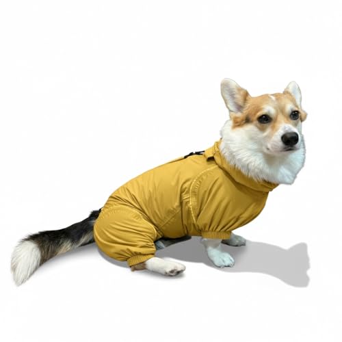 PETT2GO, Atmungsaktiver Regenmantel für Hunde, Corgi, Mantel mit Beinen, mit Kapuze, reflektierende Paspel, kompakt, goldene Morgendämmerung, Größe XS von PETT2GO