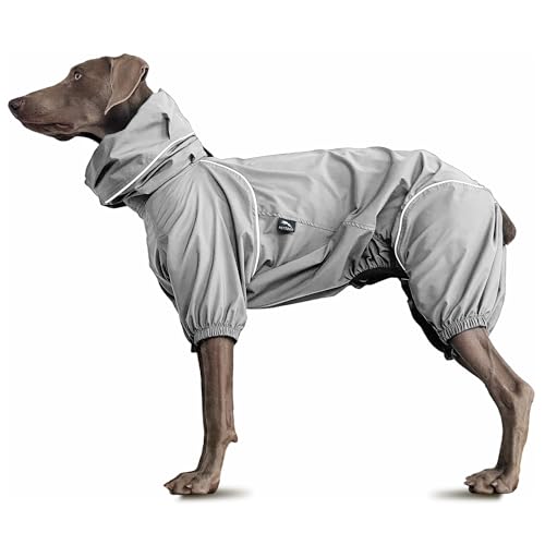 PETT2GO, Windjacke, leicht, für Hunde, Mantel mit Beinen, mit Kapuze, Loch für Leine, reflektierend, kompakt – Grau – Größe M PETT2GO, Windjacke, leicht, für Hunde, Mantel mit Beinen, mit Kapuze, Loch für Leine, reflektierend, kompakt – Grau – Größe M von PETT2GO