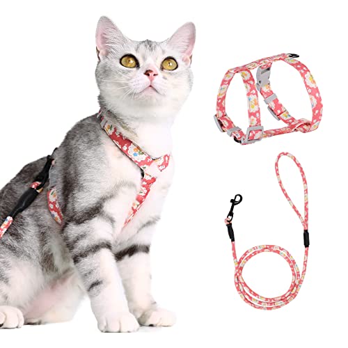 PETTOM Blumenmuster katzengeschirr mit Leine katzenleine mit Geschirr für Katzen mit Rundes Schlüsselband Ausbruchsicher Einstellbarer Brustgurt Geeignet für kleine und mittlere Katzen PETTOM Blumenmuster katzengeschirr mit Leine katzenleine mit Geschirr für Katzen mit Rundes Schlüsselband Ausbruchsicher Einstellbarer Brustgurt Geeignet für kleine und mittlere Katzen von PETTOM