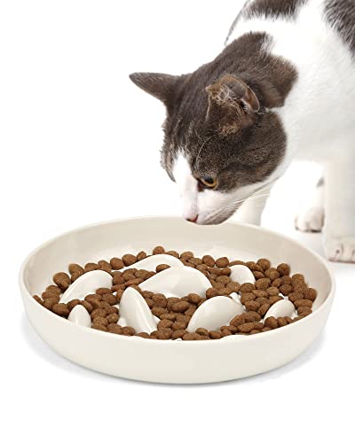 PETTOM Anti Schling Napf für Katzen und Kleine Hunde, Slow Feeder Katze rutschfest, Langsam Fressen Hund mit Hoher Kante gegen Herausfallen (16 * 16cm, Weiß) von PETTOM