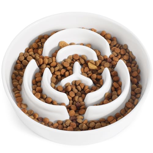 PETTOM Antischlingnapf Hunde Keramik, Anti Schling Napf Hund Ø 21cm, Schlingnapf Hunde Groß Nassfutter, Slow Feeder Hundenapf für Große und Kleine Hund PETTOM Antischlingnapf Hunde Keramik, Anti Schling Napf Hund Ø 21cm, Schlingnapf Hunde Groß Nassfutter, Slow Feeder Hundenapf für Große und Kleine Hund von PETTOM