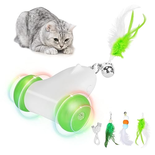 PETTOM Interaktives Katzenspielzeug Selbstbeschäftigung (Grün) von PETTOM