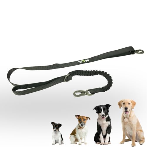 Hundeleine mit Dämpfer, Antishock und Kurzgriff - Sicherheitsgurtbefestigung - Ultraresistent - Ideal für Training (Schwarz, M) Hundeleine mit Dämpfer, Antishock und Kurzgriff - Sicherheitsgurtbefestigung - Ultraresistent - Ideal für Training (Schwarz, M) von PETTY
