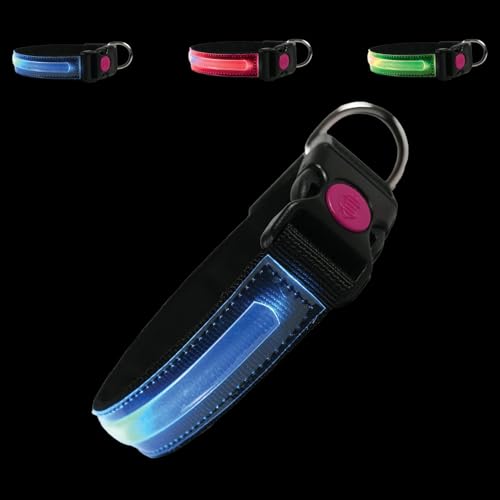 PETTY LED-Hundehalsband – Wiederaufladbares USB-Halsband mit Schnallenverschluss und Sicherheitsknopf für kleine, mittelgroße und große Hunde (3XS Blau) von PETTY
