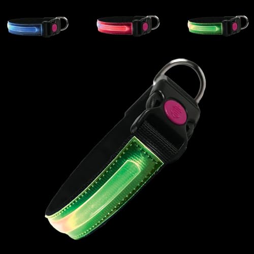 PETTY LED-Hundehalsband – Wiederaufladbares USB-Halsband mit Schnallenverschluss und Sicherheitsknopf für kleine, mittelgroße und große Hunde (3XS Grun) von PETTY