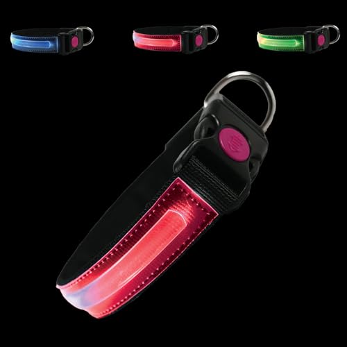 PETTY LED-Hundehalsband – Wiederaufladbares USB-Halsband mit Schnallenverschluss und Sicherheitsknopf für kleine, mittelgroße und große Hunde (3XS Rot) von PETTY