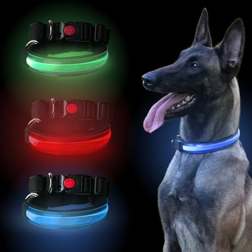 PETTY LED-Hundehalsband – Wiederaufladbares USB-Halsband mit Schnallenverschluss und Sicherheitsknopf für kleine, mittelgroße und große Hunde (XL Grun) von PETTY
