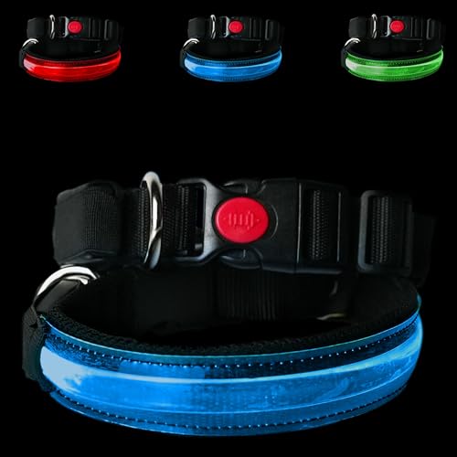 PETTY LED-Hundehalsband mit USB, mit verstellbarer Schnalle und Sicherheitsknopf für kleine mittelgroße und große Hunde (S, Blau) von PETTY