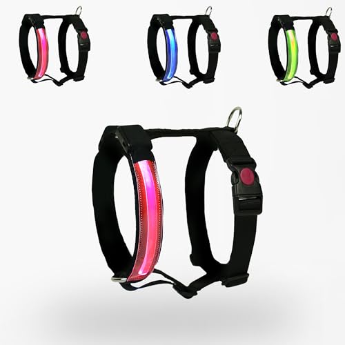 PETTY Norwegisches LED-Hundegeschirr (Rot, XS) von PETTY