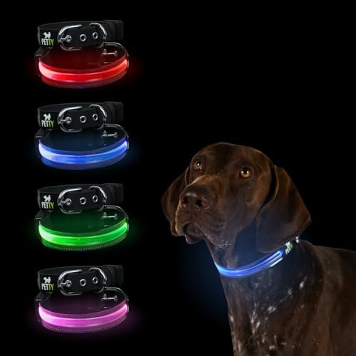 Petty Italia Verstellbares Hundehalsband aus Biothane mit LED, Nachtleuchtendes Halsband aus Biothane mit PVC und wiederaufladbarem Akku (Grün, XL) von PETTY