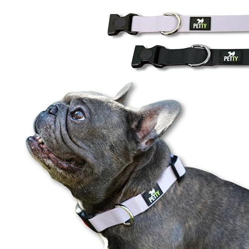 PettyItalia, Verstellbares Hundehalsband aus Biothane, Wasserdicht, mit D-Ring und Sicherheitsverschluss, für Kleine, Mittelgroße und Hunde, Farbe Violett, Größe XS von PETTY