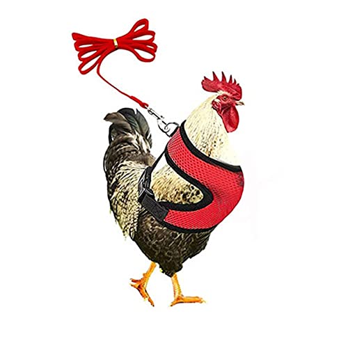 Leichter Hühnergurt, Verstellbarer Hühnergurt mit Leine und atmungsaktiver Haustierweste und Leine Haustier-Trainingsgurt von PETUFUN
