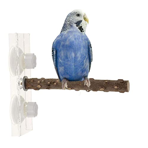 PETUFUN Vogelstange Standspielzeug | Plattform für Vogelstangen aus Naturholz - Stehende, höhenverstellbare Papageien-Trainingsstange, Vogel-Reisestangen für den Innen- und Außenbereich von PETUFUN