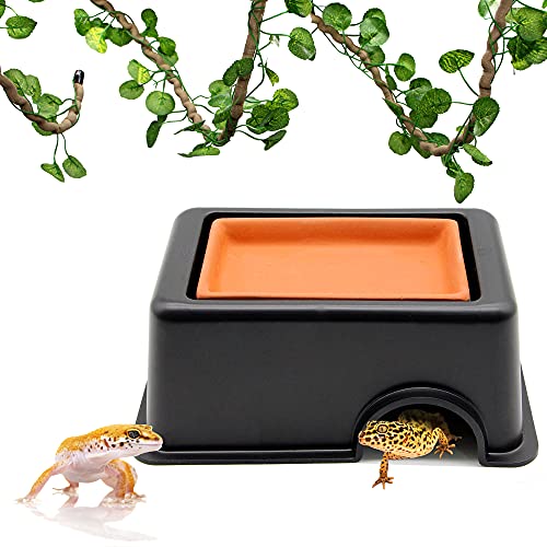 PETWAKEY-ST Reptile Hideout Box，Sink Humidifier Gecko Hide Hut Cave Accessories & Vine Habitat Decor for Small Snake Spiders Frog Turtles Lizards Turtles von PETWAKEY-ST